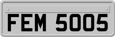 FEM5005