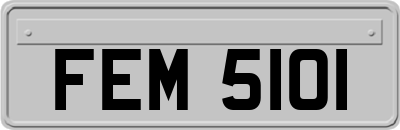 FEM5101