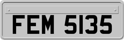 FEM5135