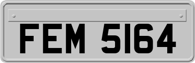 FEM5164
