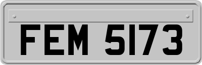 FEM5173