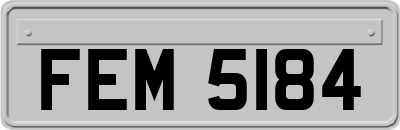 FEM5184