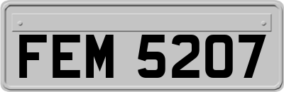 FEM5207