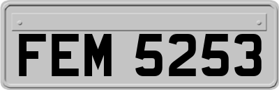 FEM5253