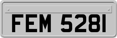 FEM5281