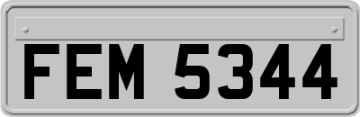 FEM5344