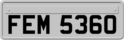 FEM5360
