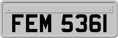 FEM5361