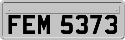 FEM5373