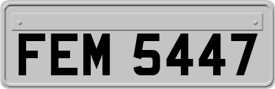 FEM5447