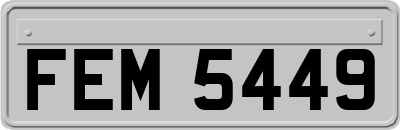 FEM5449