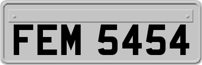 FEM5454