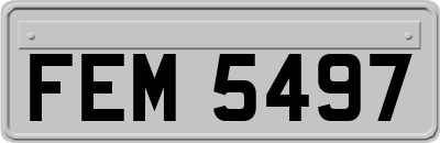 FEM5497