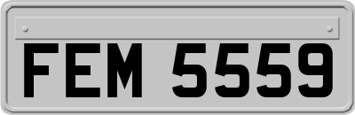 FEM5559