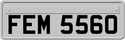 FEM5560