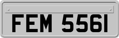 FEM5561