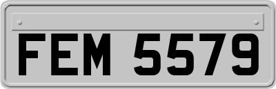 FEM5579