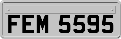 FEM5595