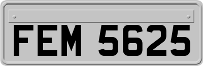 FEM5625