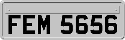 FEM5656