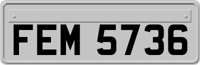 FEM5736