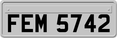 FEM5742