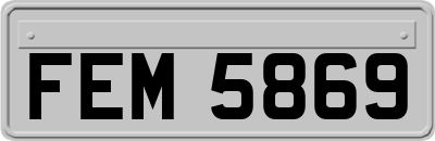 FEM5869