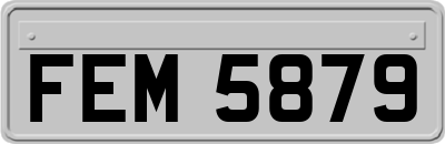 FEM5879
