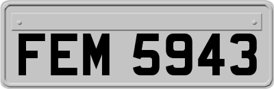 FEM5943