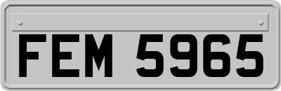 FEM5965