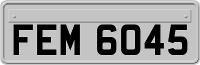 FEM6045