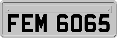 FEM6065