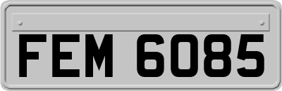FEM6085