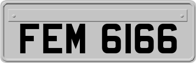 FEM6166