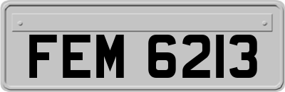 FEM6213