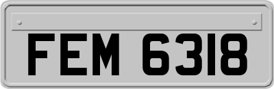 FEM6318