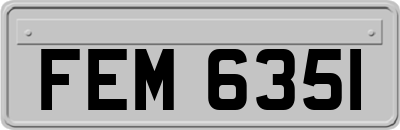 FEM6351