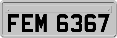 FEM6367