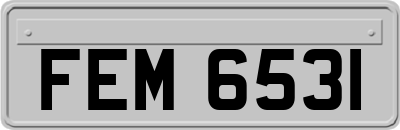 FEM6531