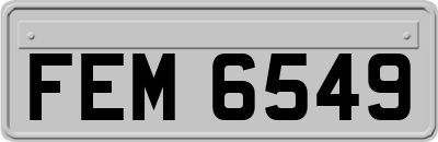 FEM6549