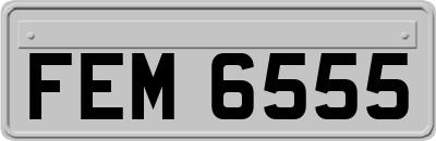 FEM6555