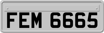 FEM6665