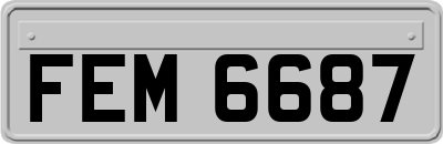 FEM6687
