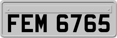 FEM6765