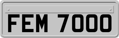 FEM7000