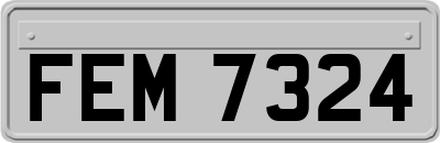 FEM7324