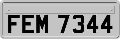 FEM7344