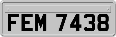 FEM7438
