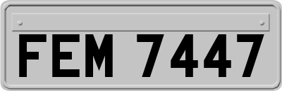 FEM7447