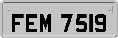 FEM7519